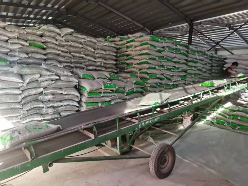 双青豆，炒货，泡菜青仁青皮大粒青豆五谷杂粮袋装50kg