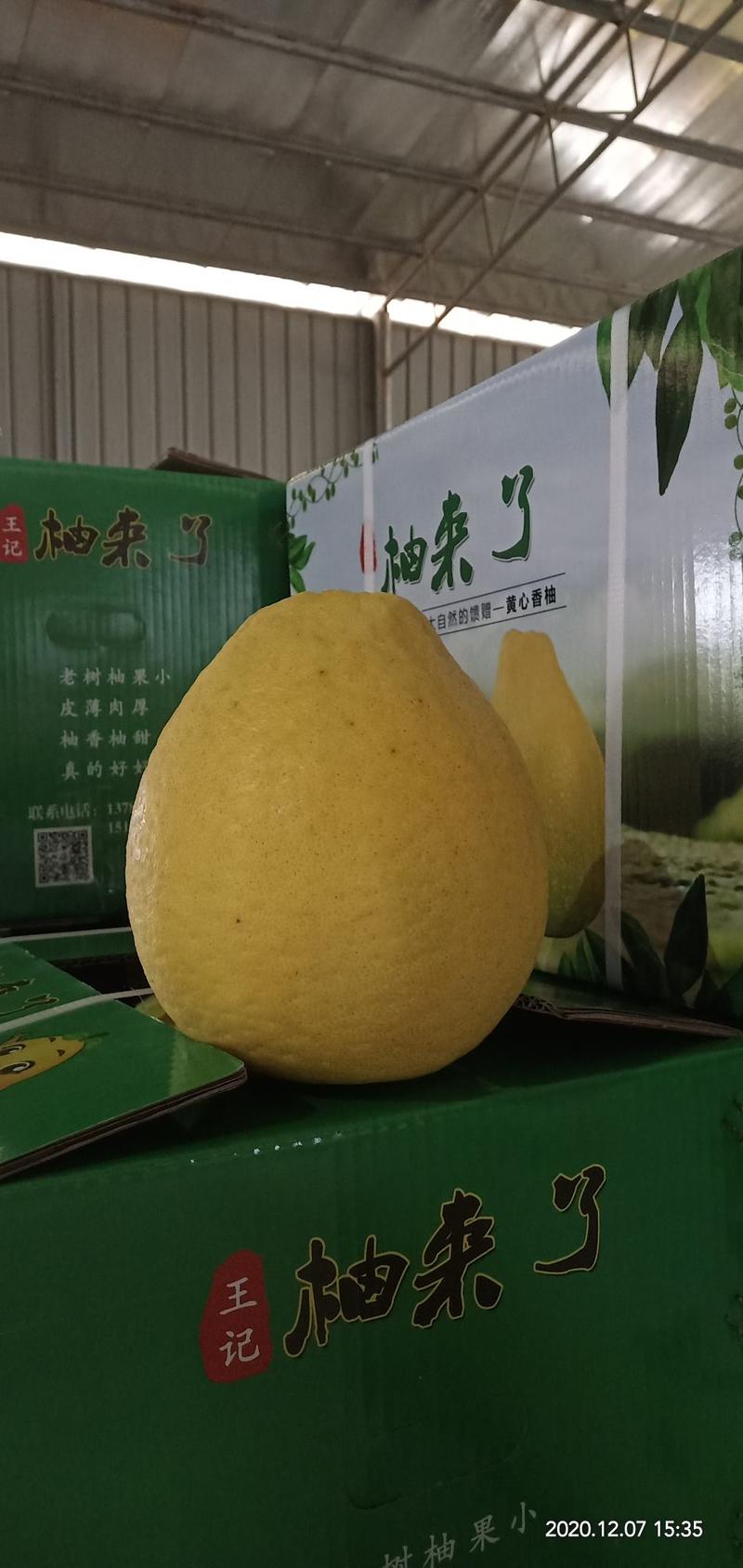 产地直销，永州江永香柚，品质保证，可视频看货