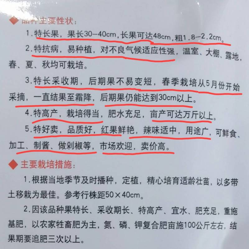 【特长型】火辣辣红线椒种子青红两用高产条椒辣椒种子基地