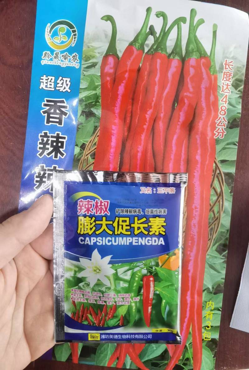 【特长型】火辣辣红线椒种子青红两用高产条椒辣椒种子基地
