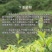 云南大理南涧弥渡特产纯手工豌豆黄粉皮干货一斤500克包邮