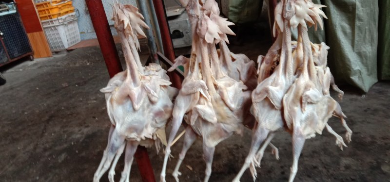 洪湖腊鸭酒店家庭好食材洪湖特产农家风味，馈赠佳品