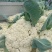 花菜松花菜砀山蔬菜基地安徽有机花菜