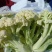 花菜松花菜砀山蔬菜基地安徽有机花菜