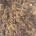拐枣，新鲜野生拐枣净货，打霜后的拐枣，一手货源
