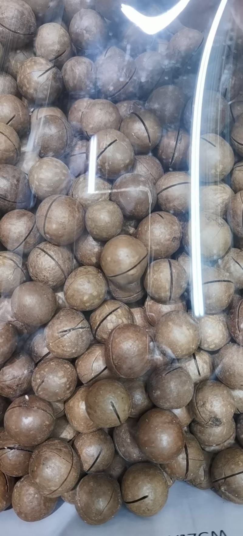 【一件代发】夏威夷果壳薄肉多1件净重10斤