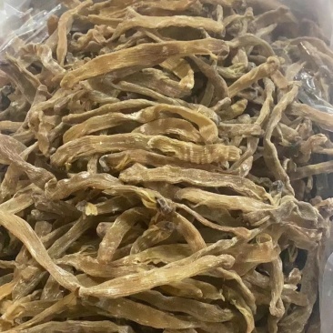 今天公布公布1200斤进口大和黄沙虫