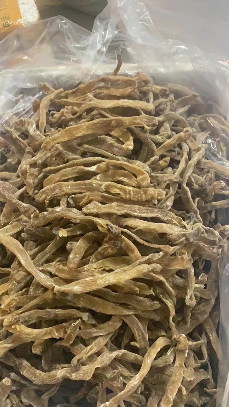 今天公布公布1200斤进口大和黄沙虫