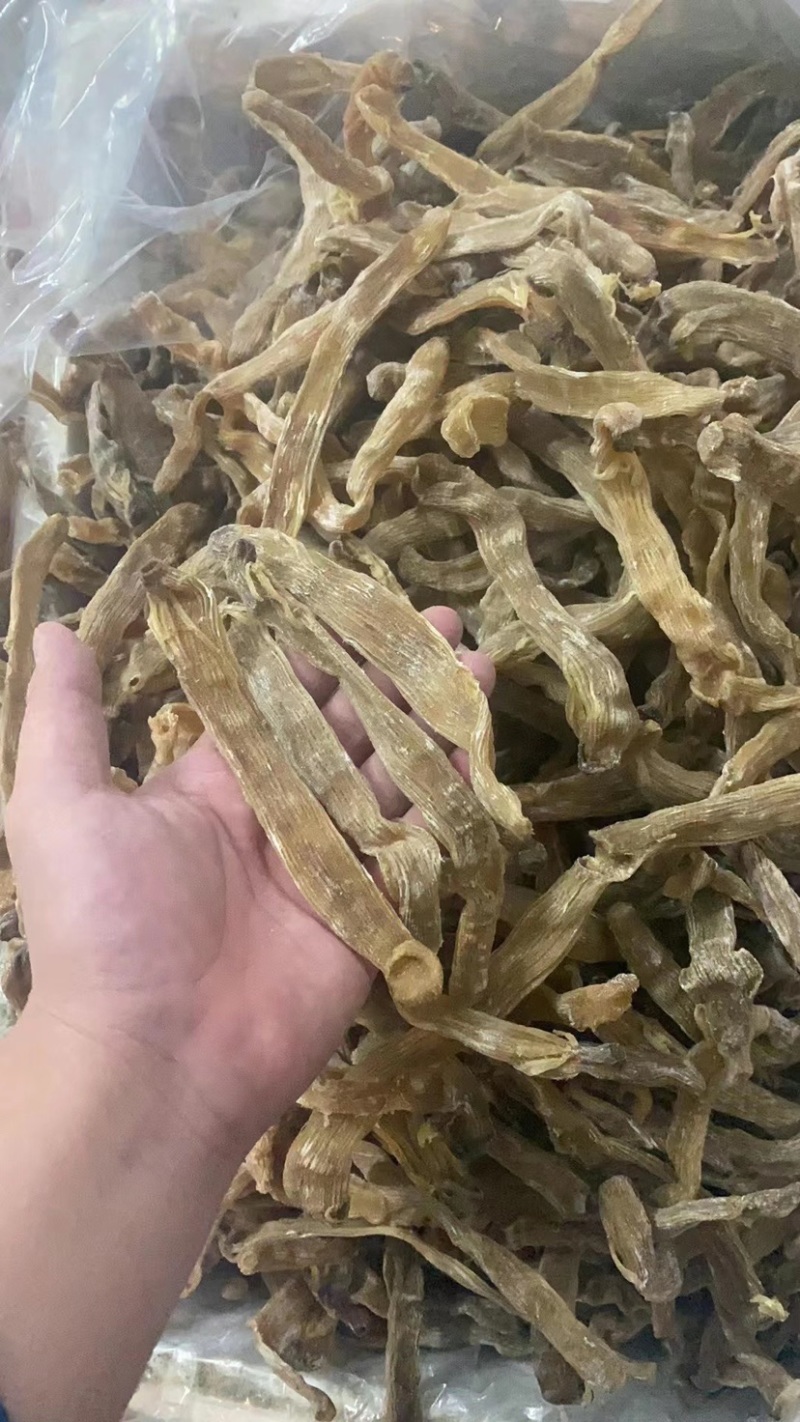 今天公布公布1200斤进口大和黄沙虫