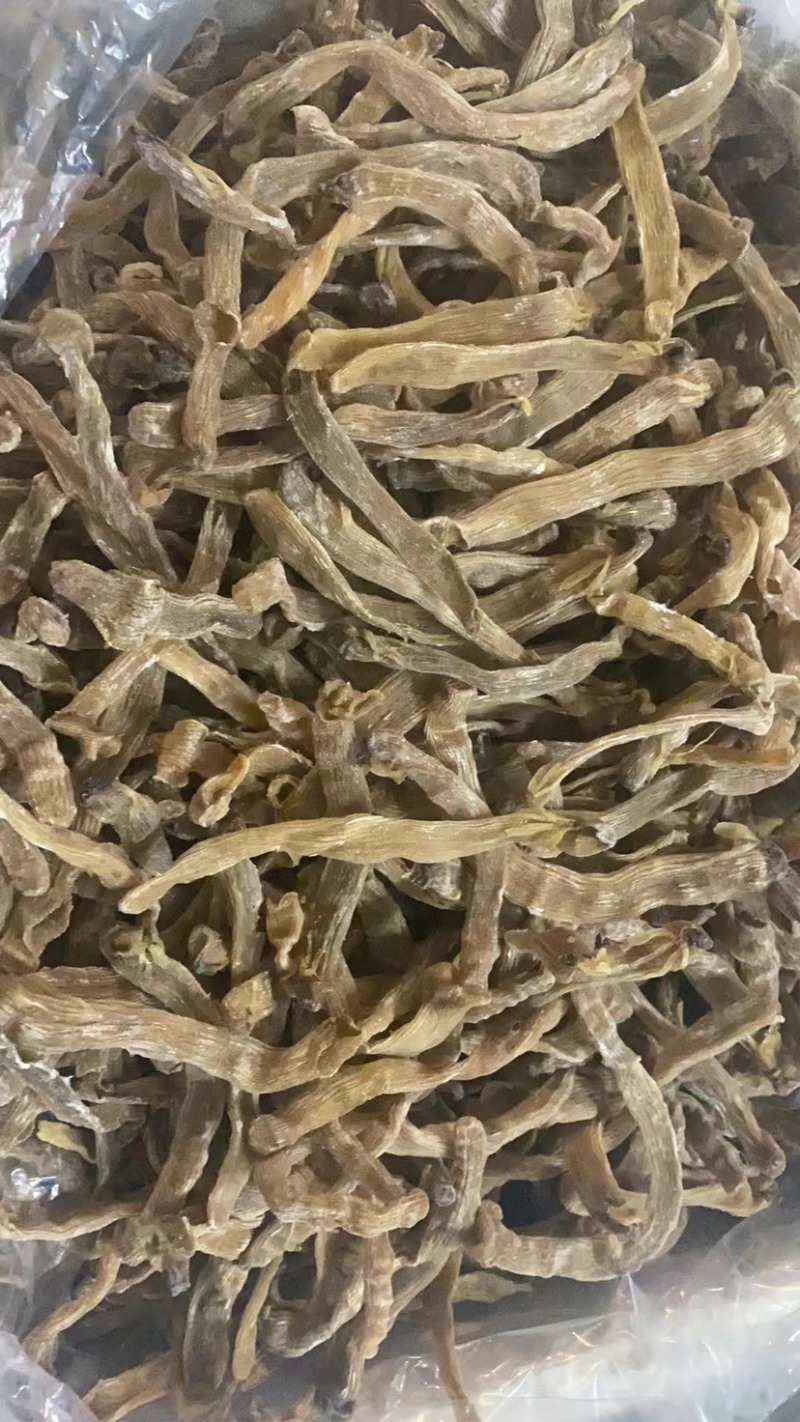 今天公布公布1200斤进口大和黄沙虫