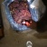 本地库存克伦生葡萄大量供货高中低档都有口感好皮薄欢迎选购
