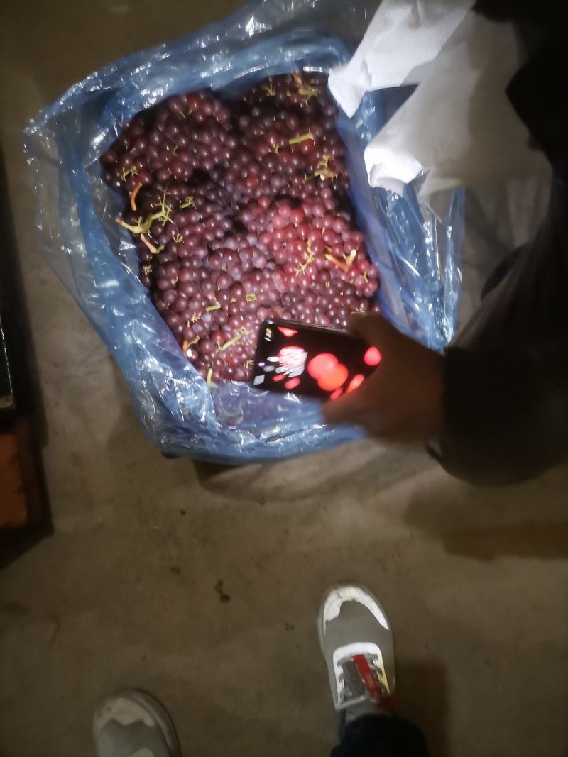 本地库存克伦生葡萄大量供货高中低档都有口感好皮薄欢迎选购