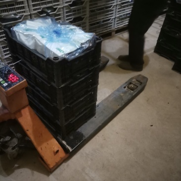 本地库存克伦生葡萄大量供货高中低档都有口感好皮薄欢迎选购