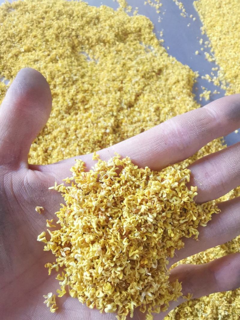 干桂花桂花茶桂花干，桂林特产，产地直供一手货源