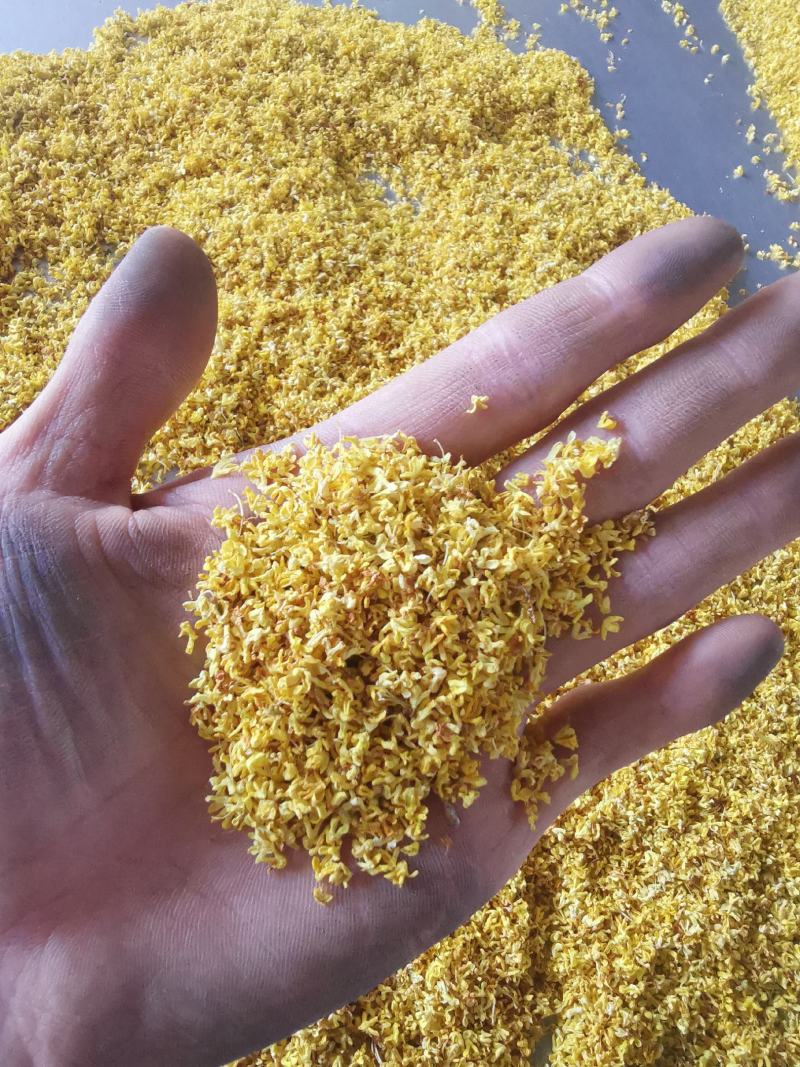 干桂花桂花茶桂花干，桂林特产，产地直供一手货源