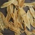 75头双背胶足干原装货厚肉大块平整足胶鱼胶花胶