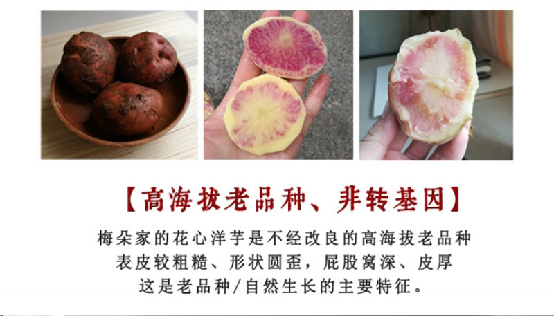 七彩土豆为云南大理剑川特产，富含大量花青素。