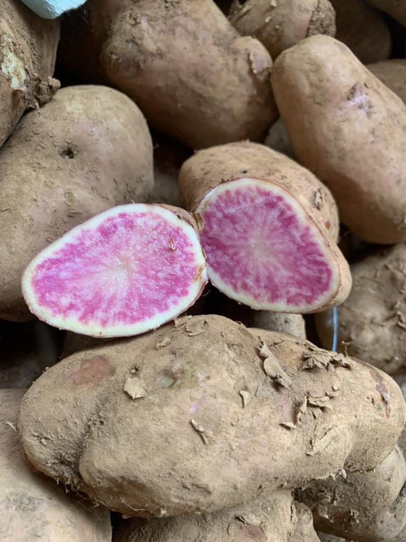 七彩土豆为云南大理剑川特产，富含大量花青素。