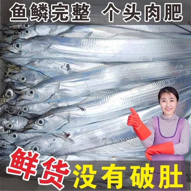 【1-3斤超大带鱼】大带鱼东海带鱼新鲜鲜活带鱼海鲜水