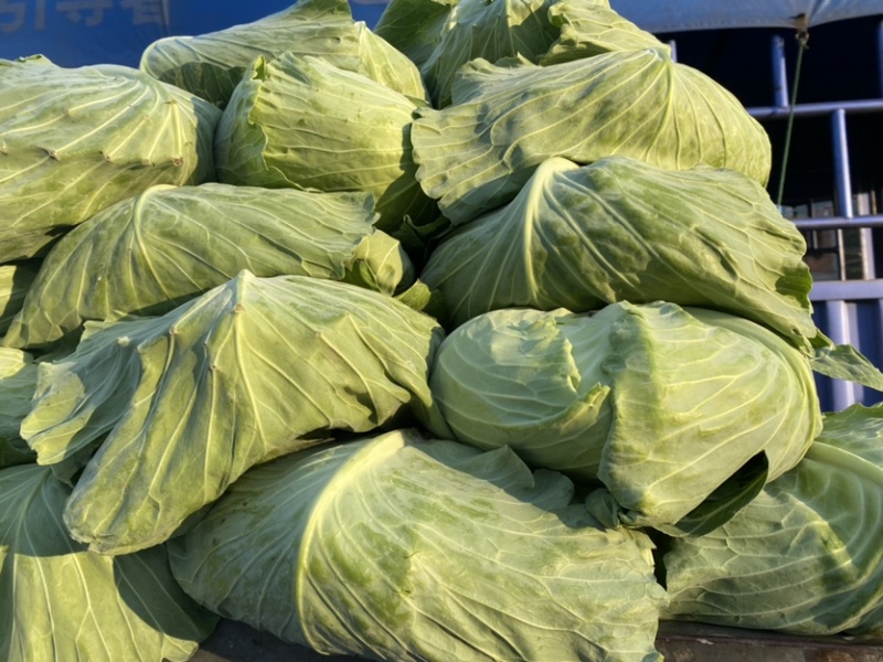 净菜上车，大量现货滴滴排位，赶紧联系我