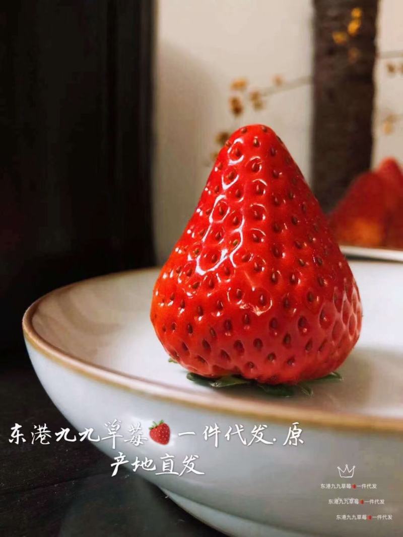 丹东东港红颜九九草莓产地直发寻求各大商超批发商