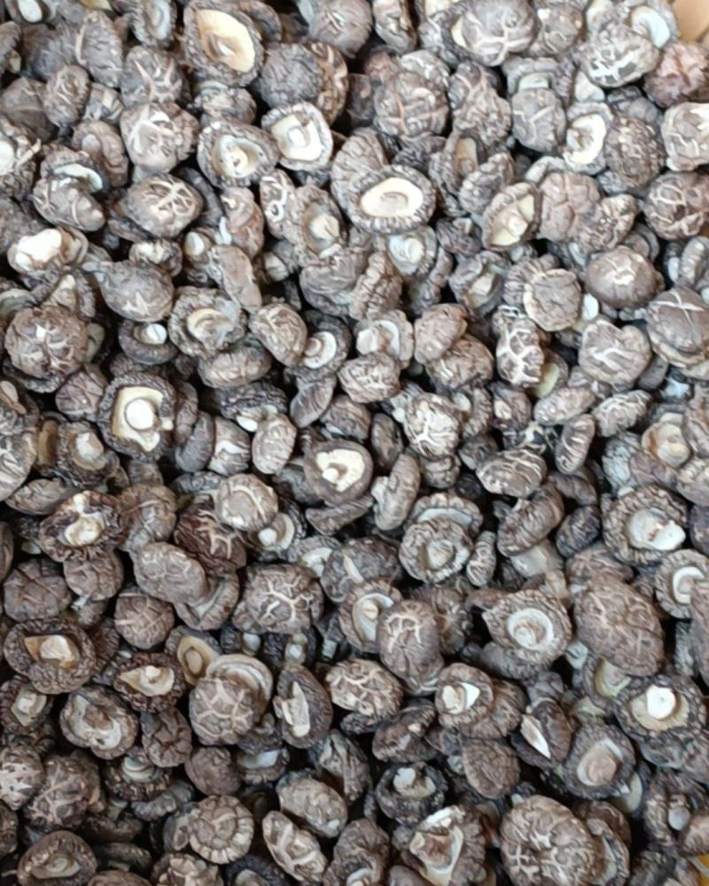 2025年茶花菇香菇干货新货基地直发货源充足