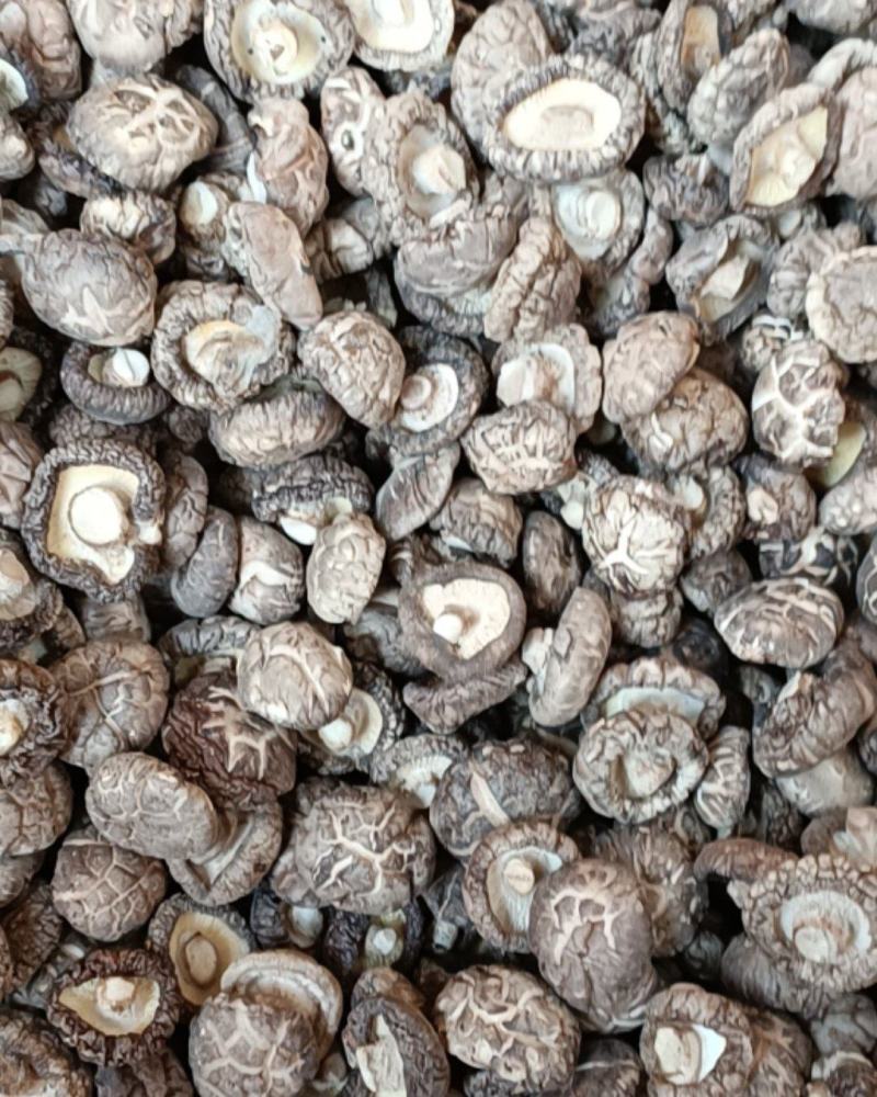 2025年茶花菇香菇干货新货基地直发货源充足