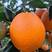 纽荷尔脐橙长虹脐橙挂树鲜橙果园现摘现发可视频看货