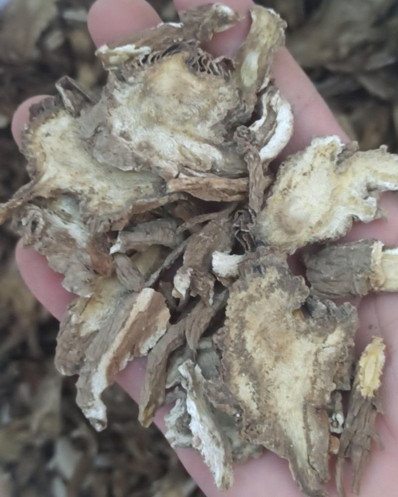 独活大活中药材批发独活质量保证量大从优