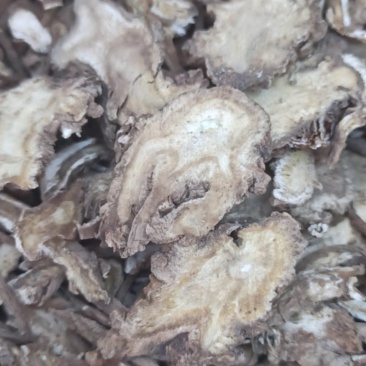 独活大活中药材批发独活质量保证量大从优