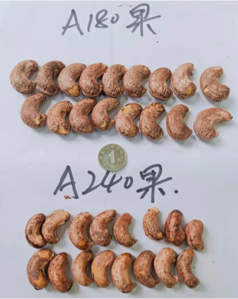 新货越南工厂一手货源带皮盐焗紫皮腰果现货批发支持定做