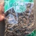 郁金干货农副产品无硫不满意可退换货