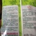泰国空心菜种子，经农技人员多年精心选育而成的空心菜新品种