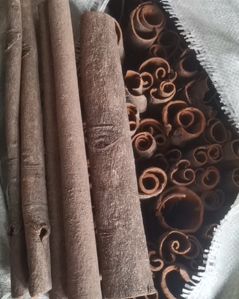 桂皮各种规格中通大通桂板桂丝烟桂