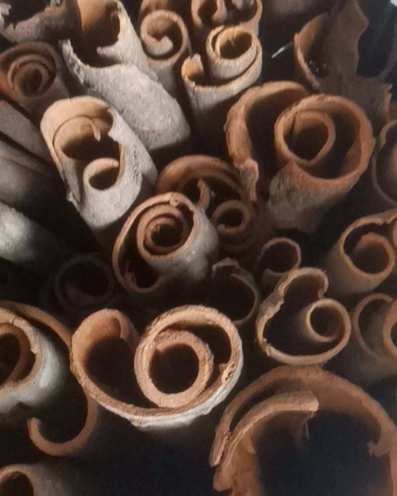 桂皮各种规格中通大通桂板桂丝烟桂