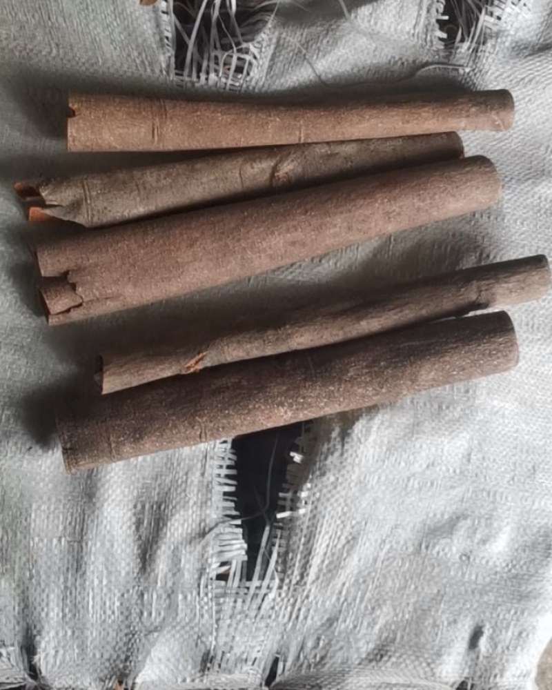 桂皮各种规格中通大通桂板桂丝烟桂