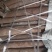 桂皮各种规格中通大通桂板桂丝烟桂