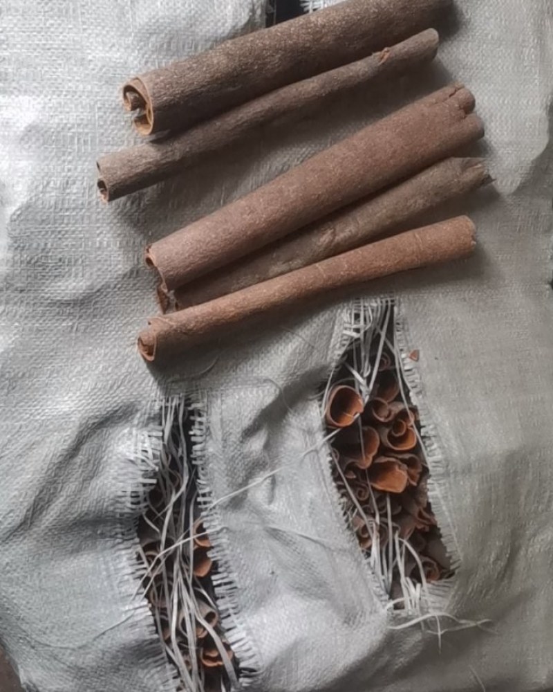 桂皮各种规格中通大通桂板桂丝烟桂