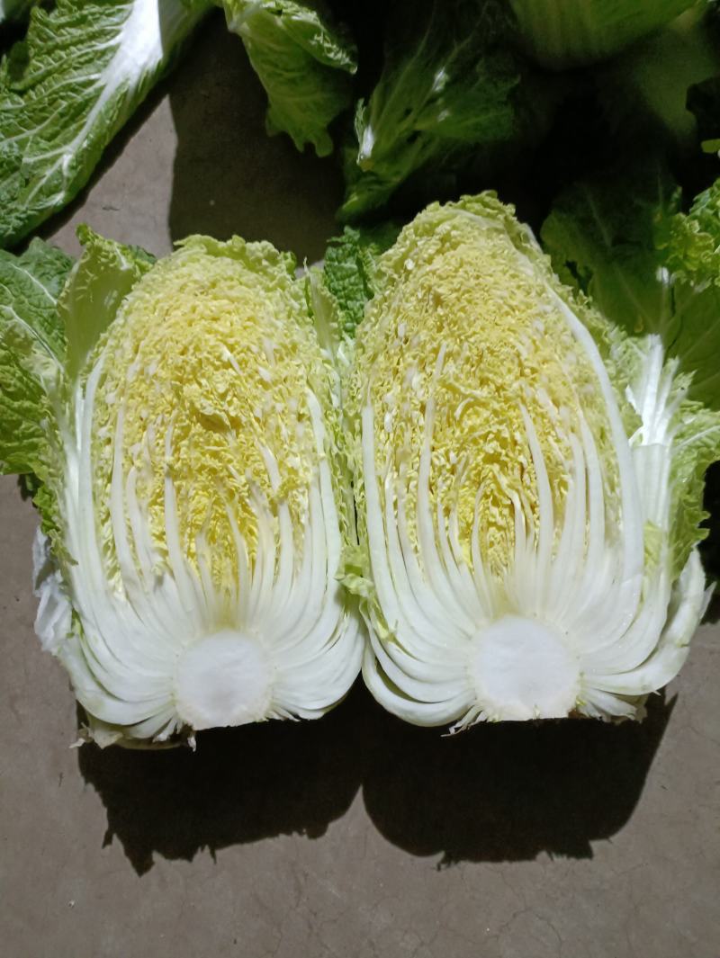 大白菜白又了白