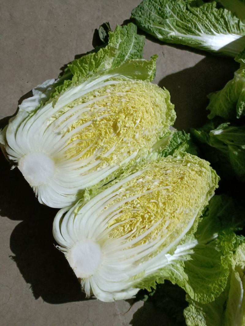 大白菜白又了白