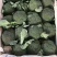 【推荐】河北西兰花量大从优全国代发欢迎来电咨询