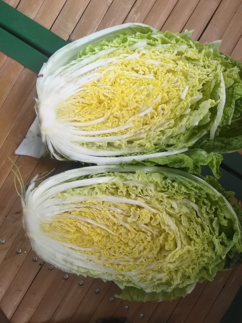 黄心白菜