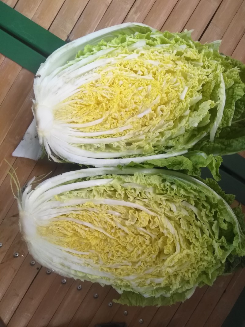 黄心白菜
