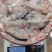 云冻免浆黑鱼片，250g*25盒，量大价优。自有工厂