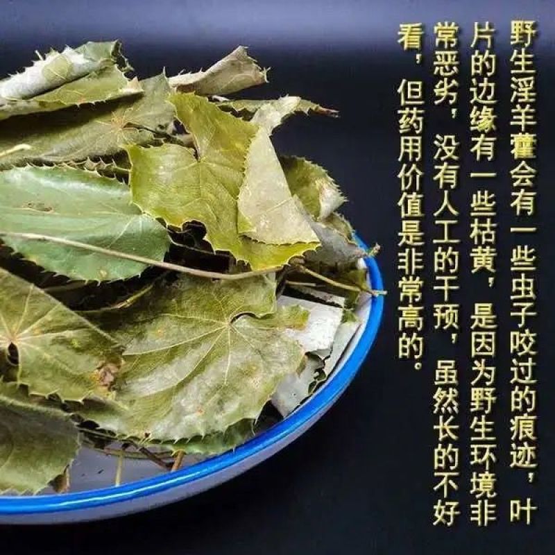 淫羊藿叶正品新货产地直发欢迎下单