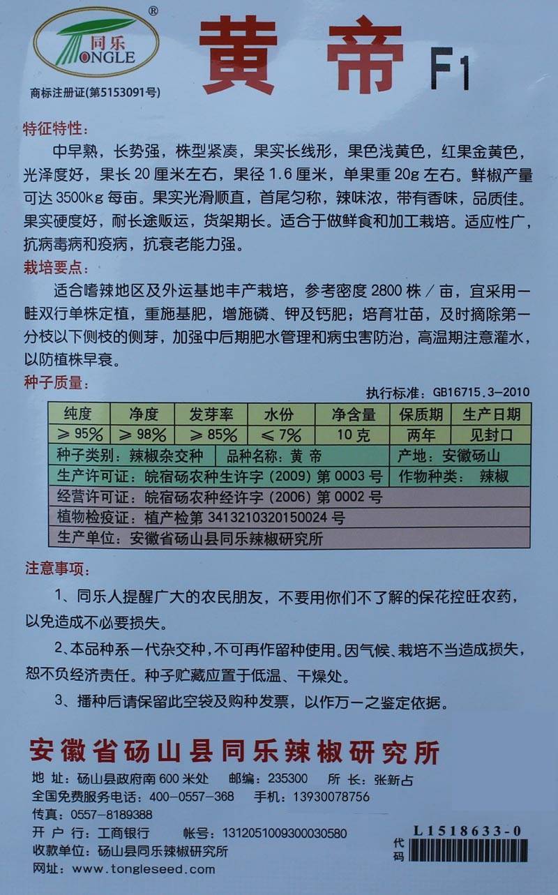 黄帝线椒黄线椒黄色线椒黄贡椒高产辣椒种子