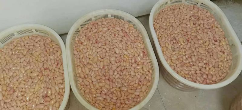鸡卵鸡腰子