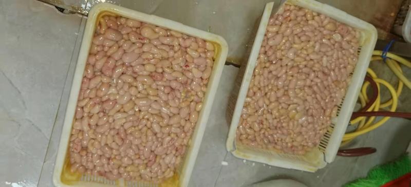 鸡卵鸡腰子