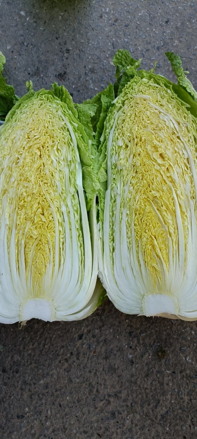 大白菜白又了白