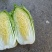 大白菜白又了白
